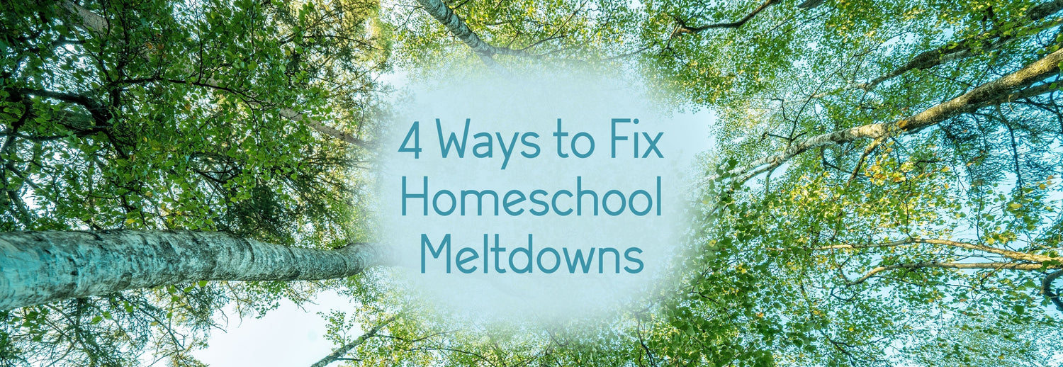 4 Ways I Fixed Homeschool Meltdowns