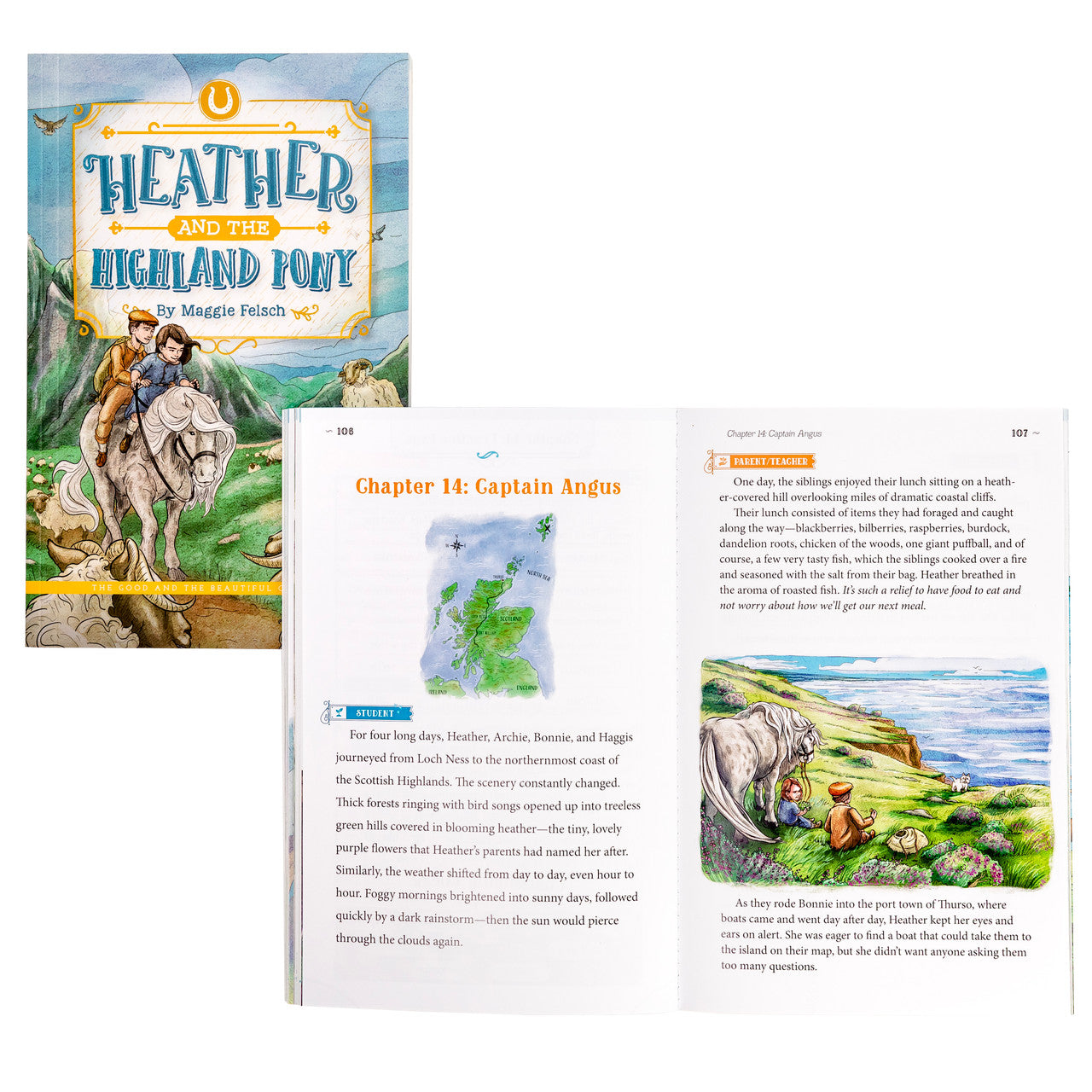 Heather and the Highland Pony: by Maggie Felsch