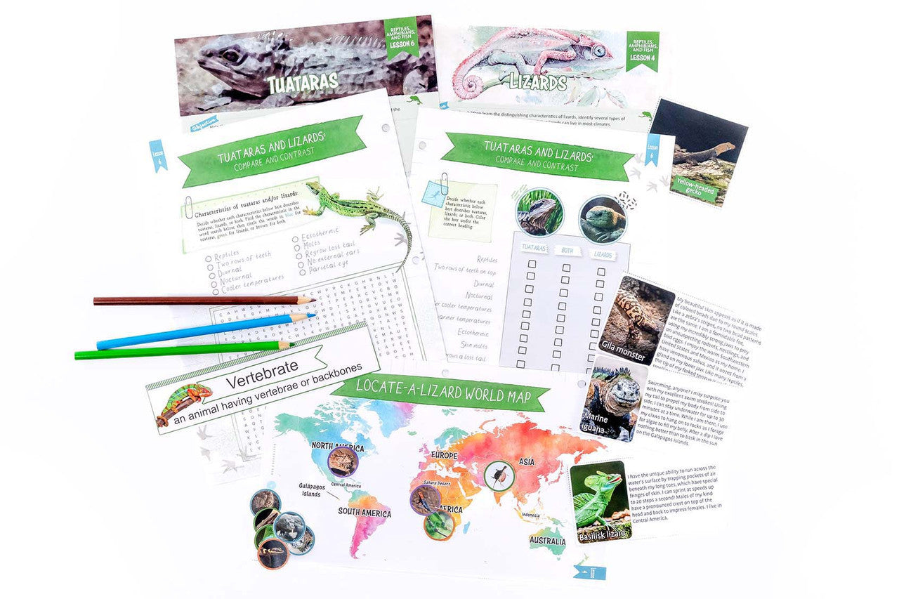 Reptiles, Amphibians, and Fish: Course Book: One Per Family