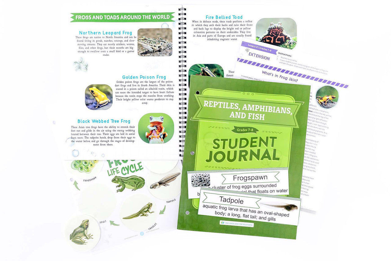 Reptiles, Amphibians, and Fish: Course Book: One Per Family