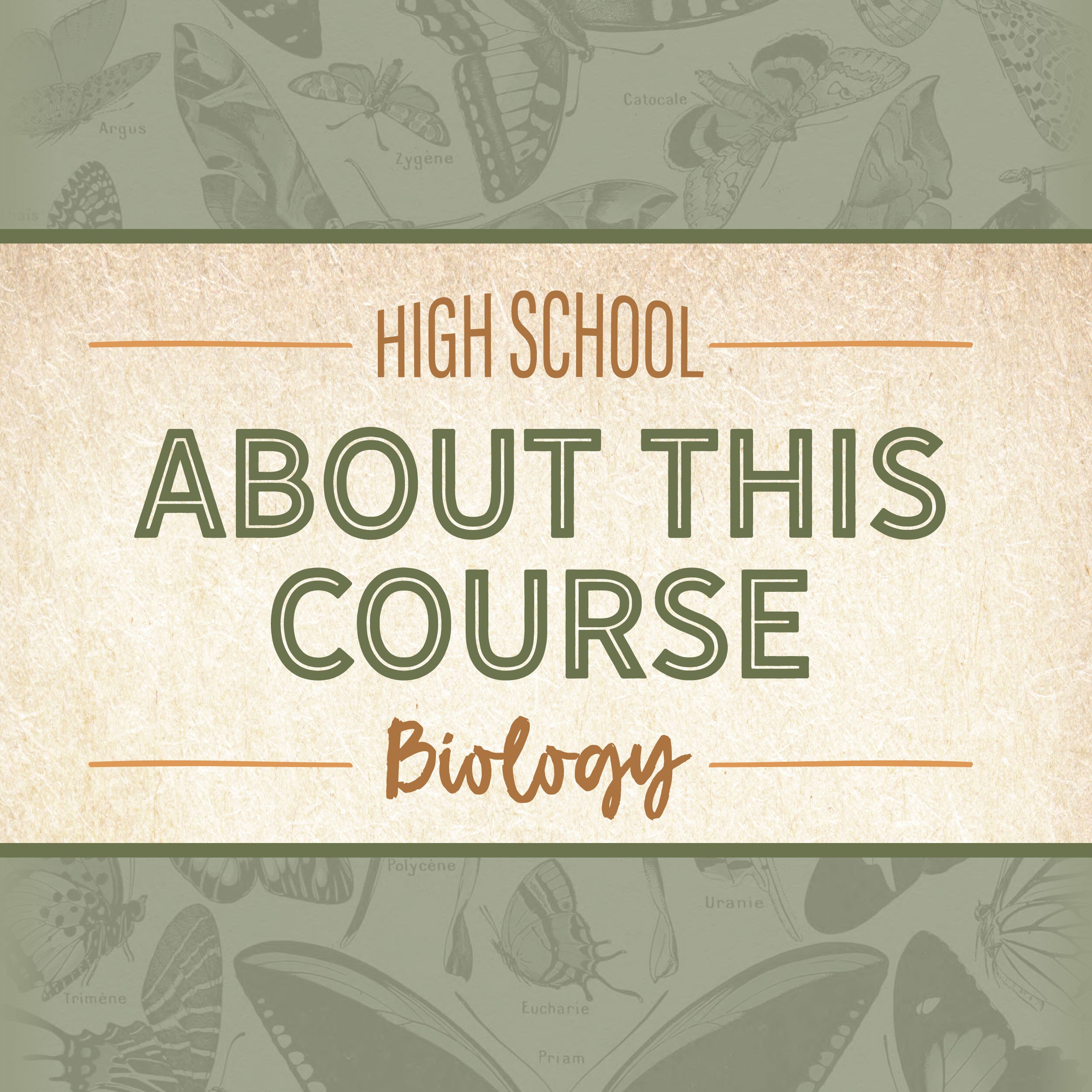 A green background covered with dark butterflies with the text "About this course: High school biology" | The Good and the Beautiful