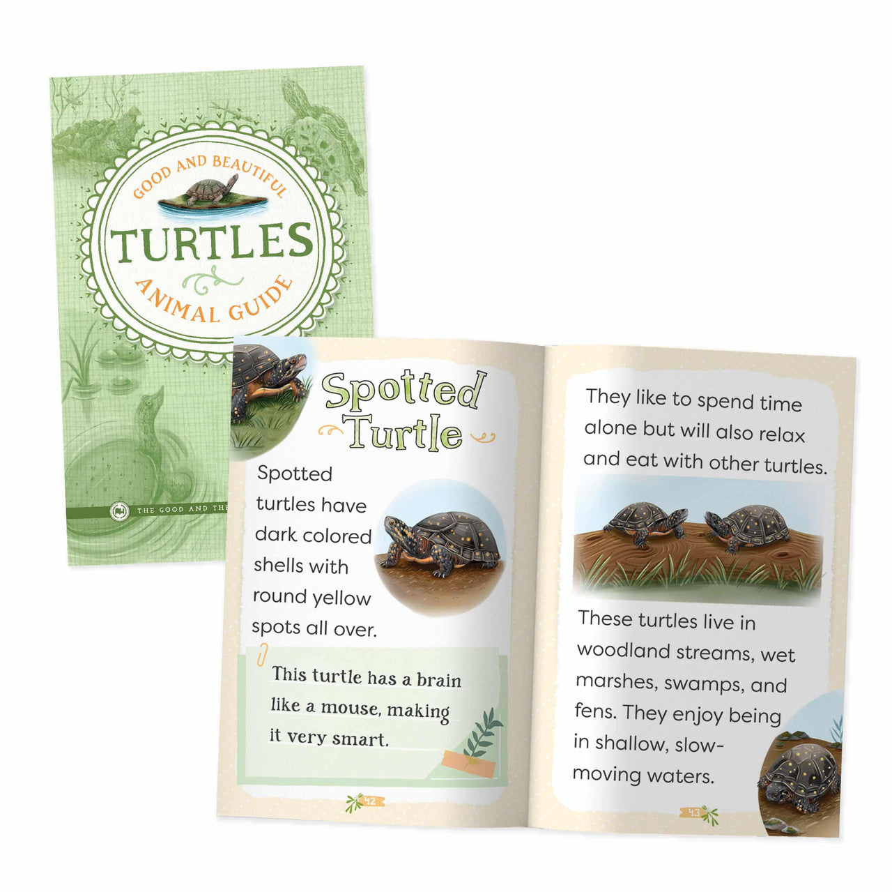 Good and Beautiful Animal Guide: Turtles