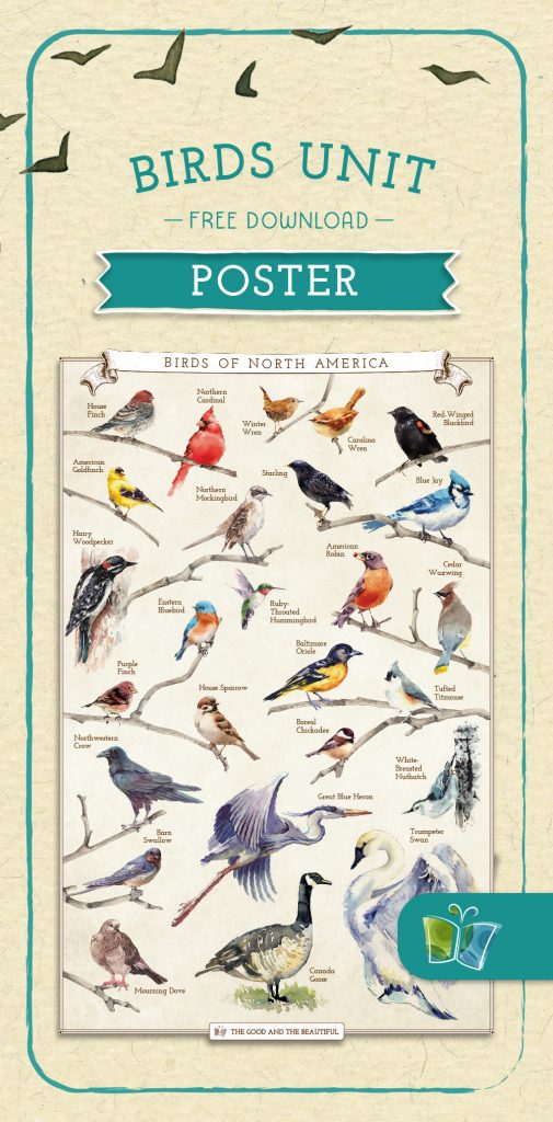The text "Birds Unit Free Download Poster" with a collage of birds and their names below | The Good and the Beautiful