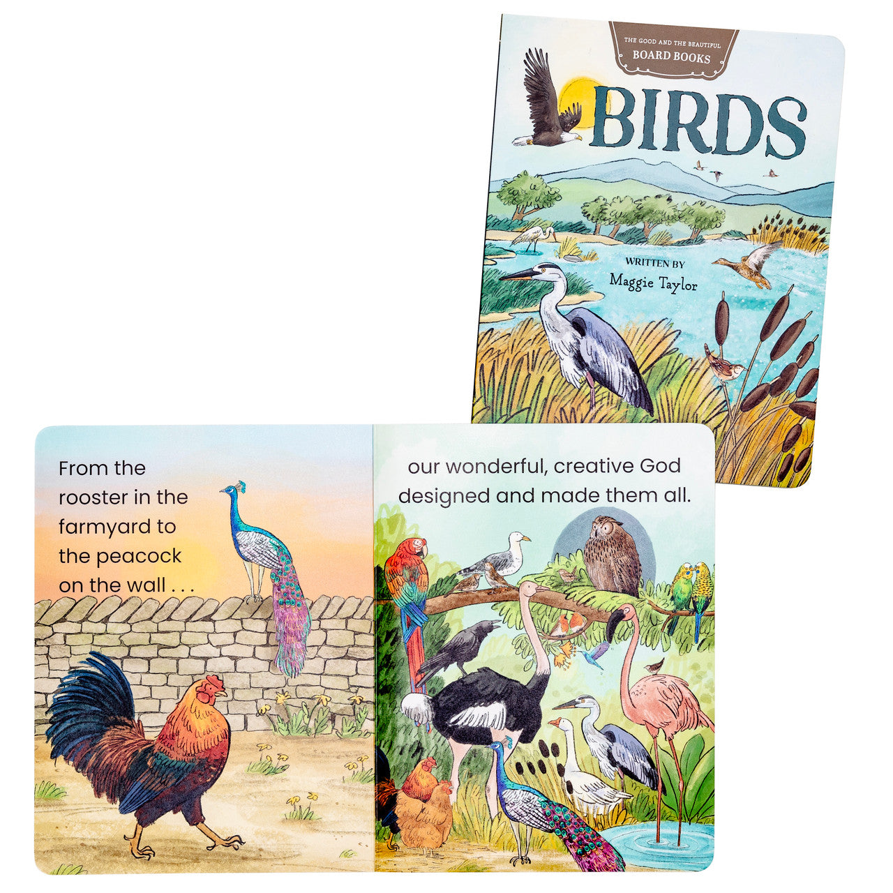 Birds Board Book: by Maggie Taylor