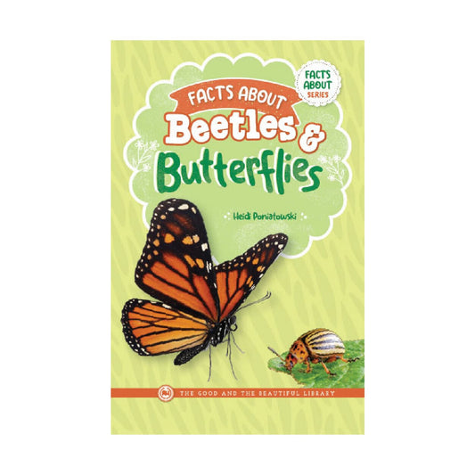 Facts About Beetles & Butterflies