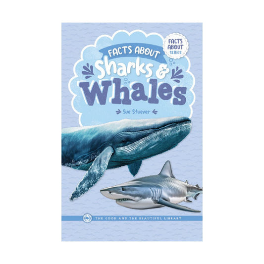 Facts About Sharks & Whales