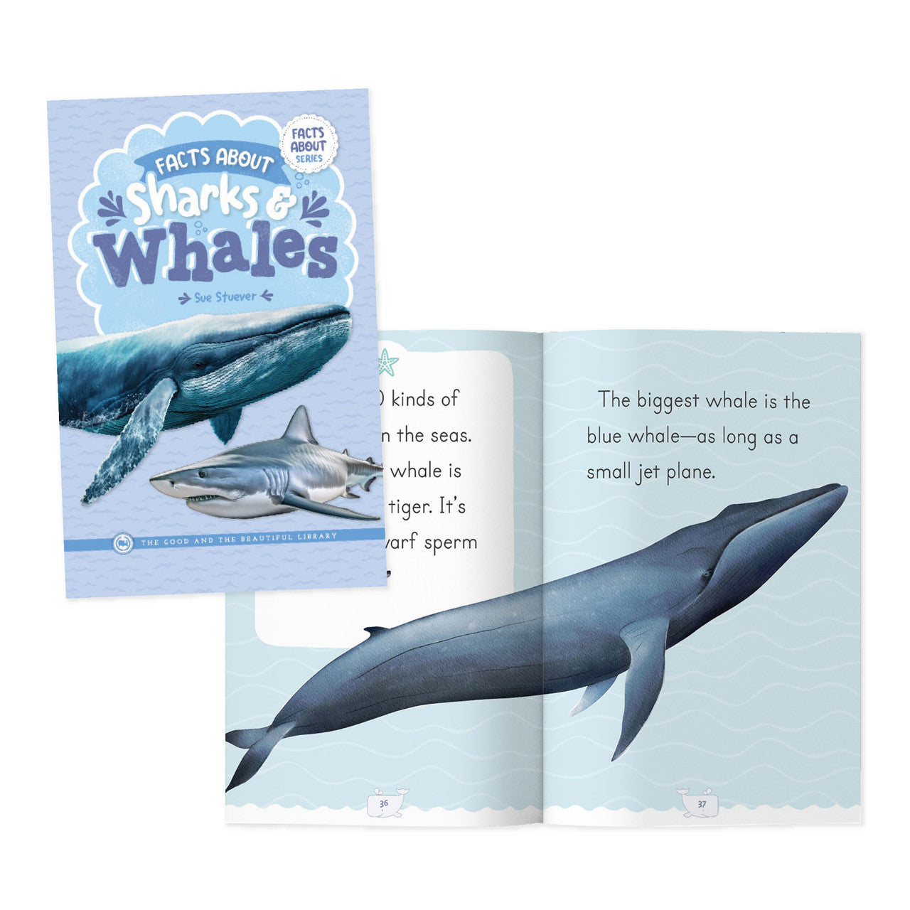Facts About Sharks & Whales