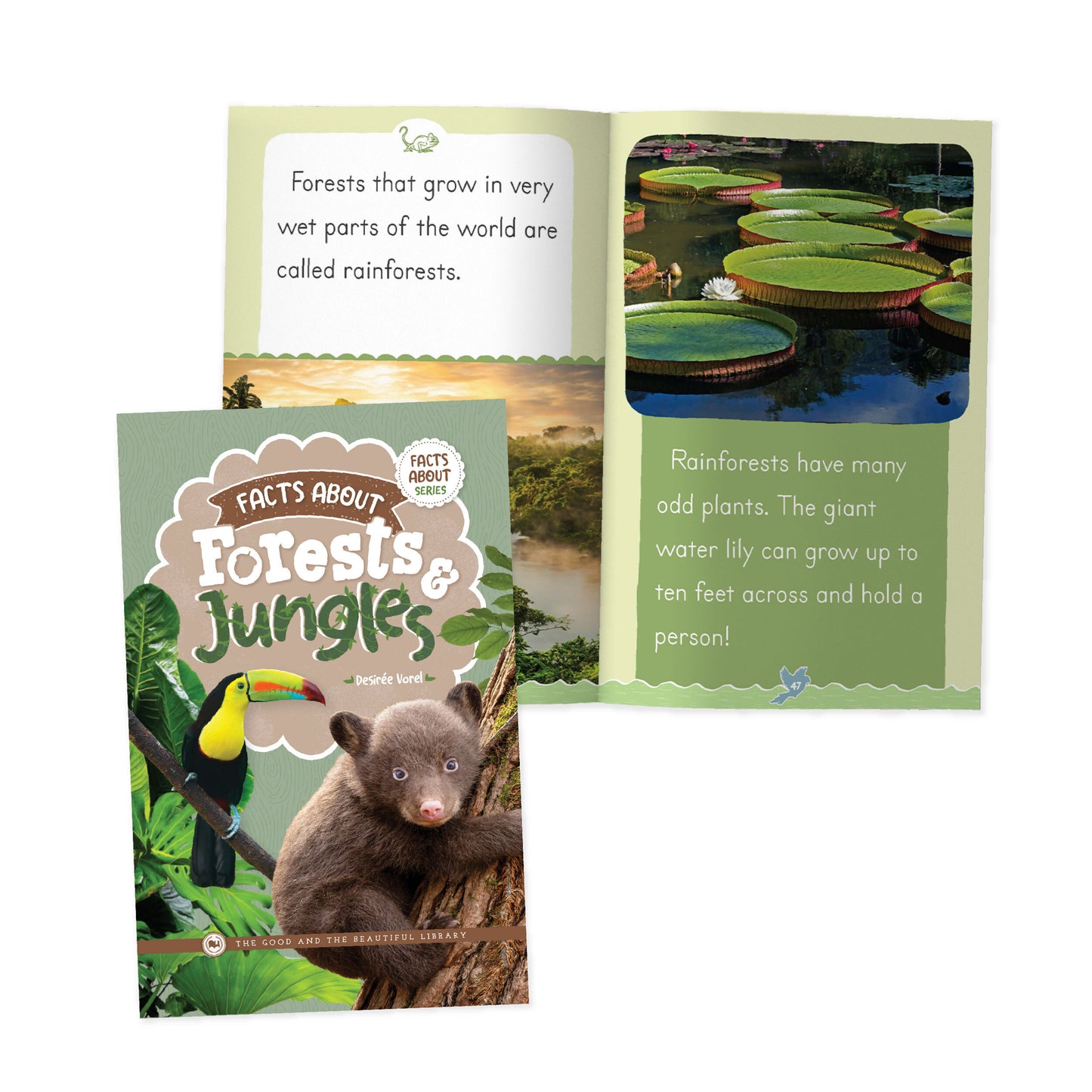 Facts About Forest and Jungles Book | The Good and the Beautiful