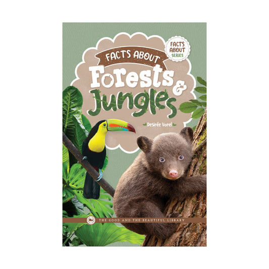 Facts About Forests and Jungles | The Good and the Beautiful
