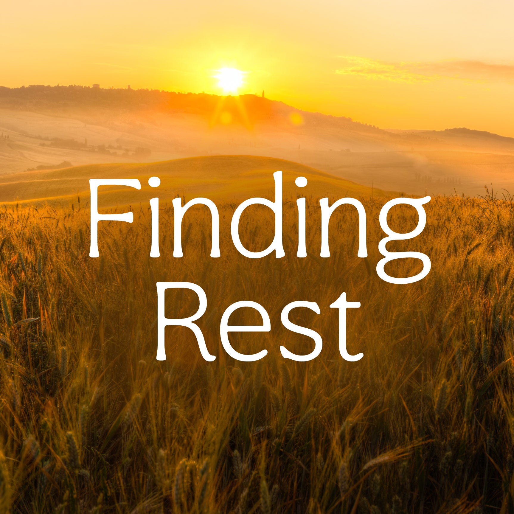 An image of a glowing and hilly field with the text "Finding Rest" | The Good and the Beautiful