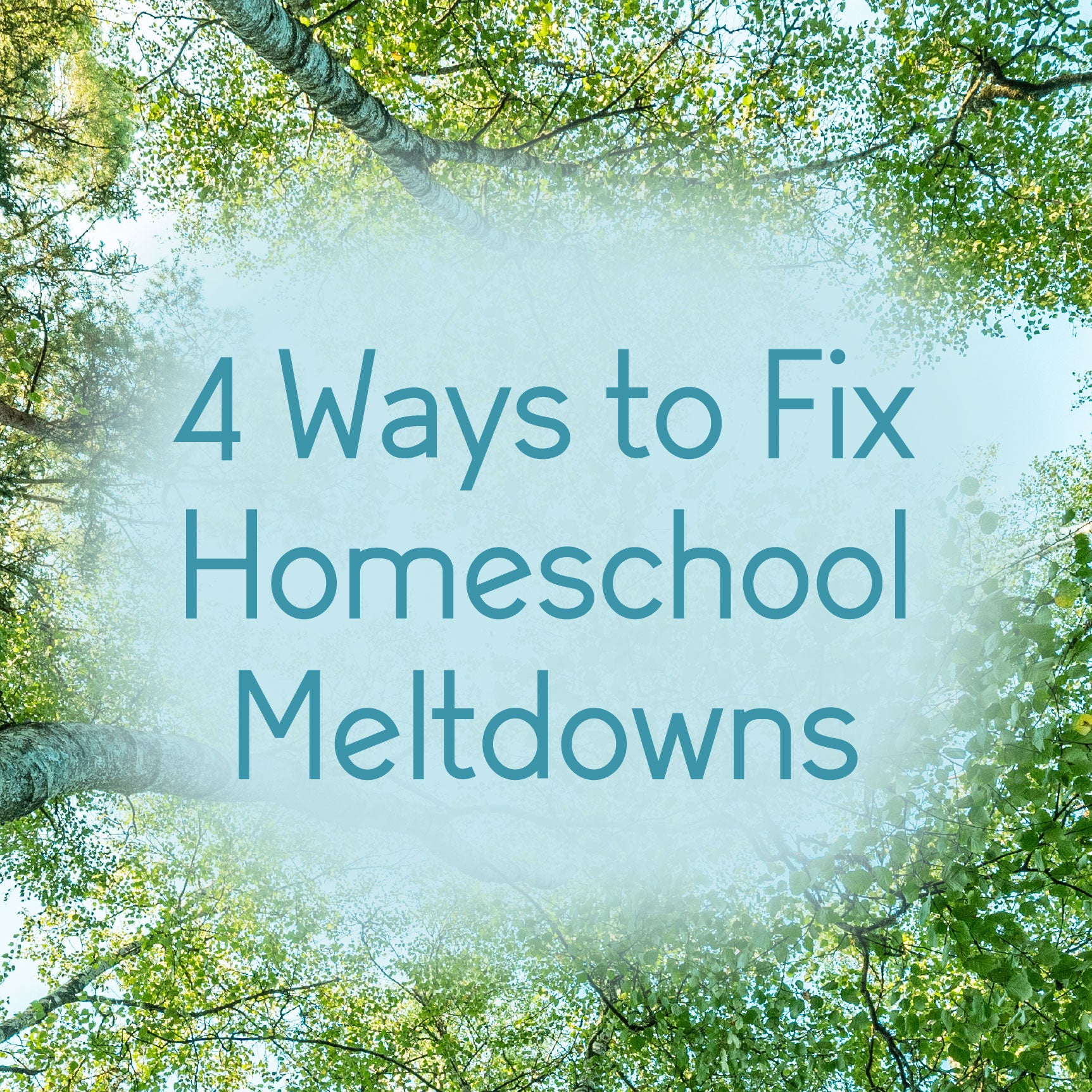 Four Ways to Fix Homeschool Meltdowns Blog Header with the tops of trees and a blue sky in the background | The Good and the Beautiful