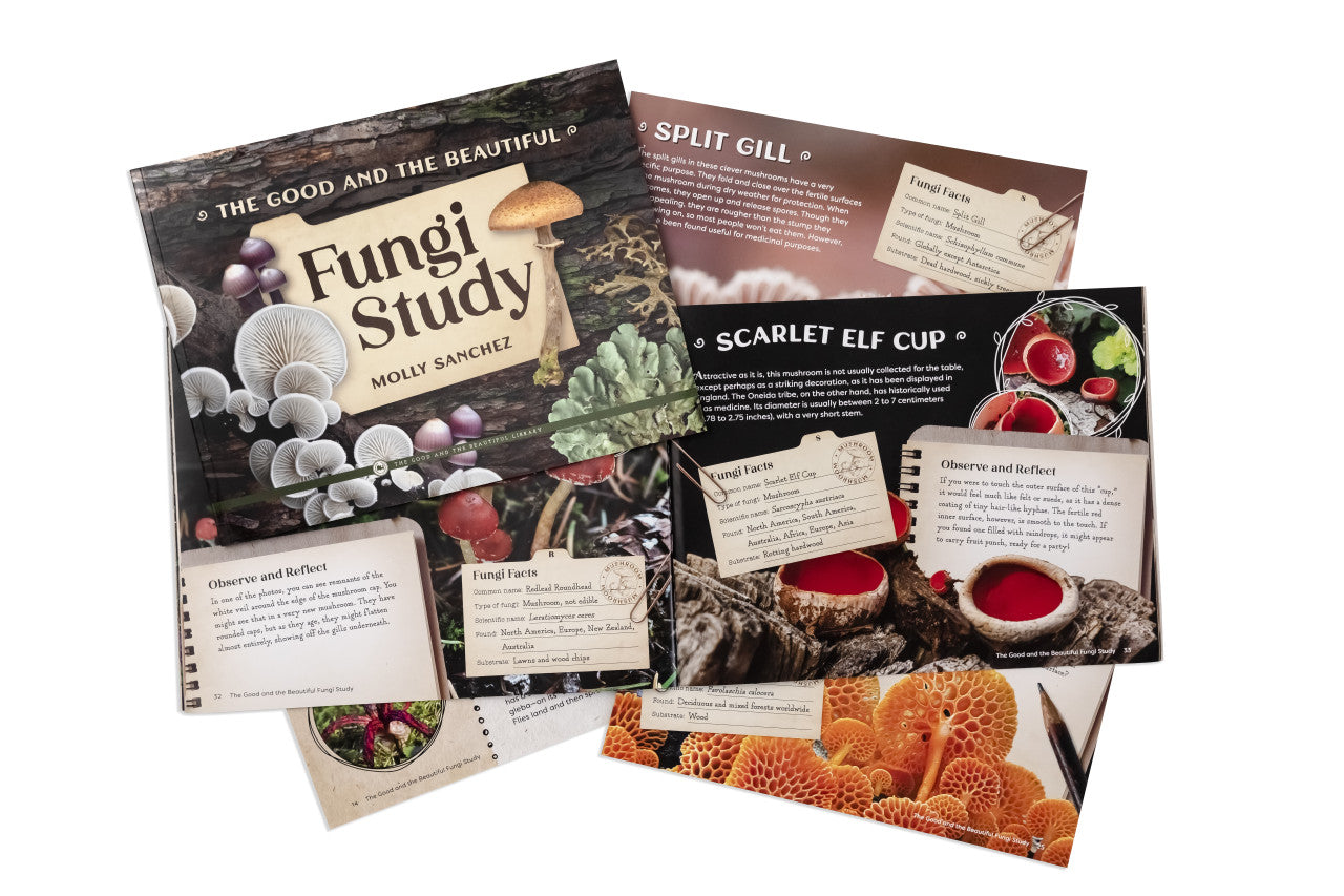 The Good and the Beautiful Fungi Study: Kingdoms and Classification Grades 7-8 Extension