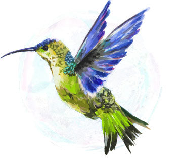 Hummingbird