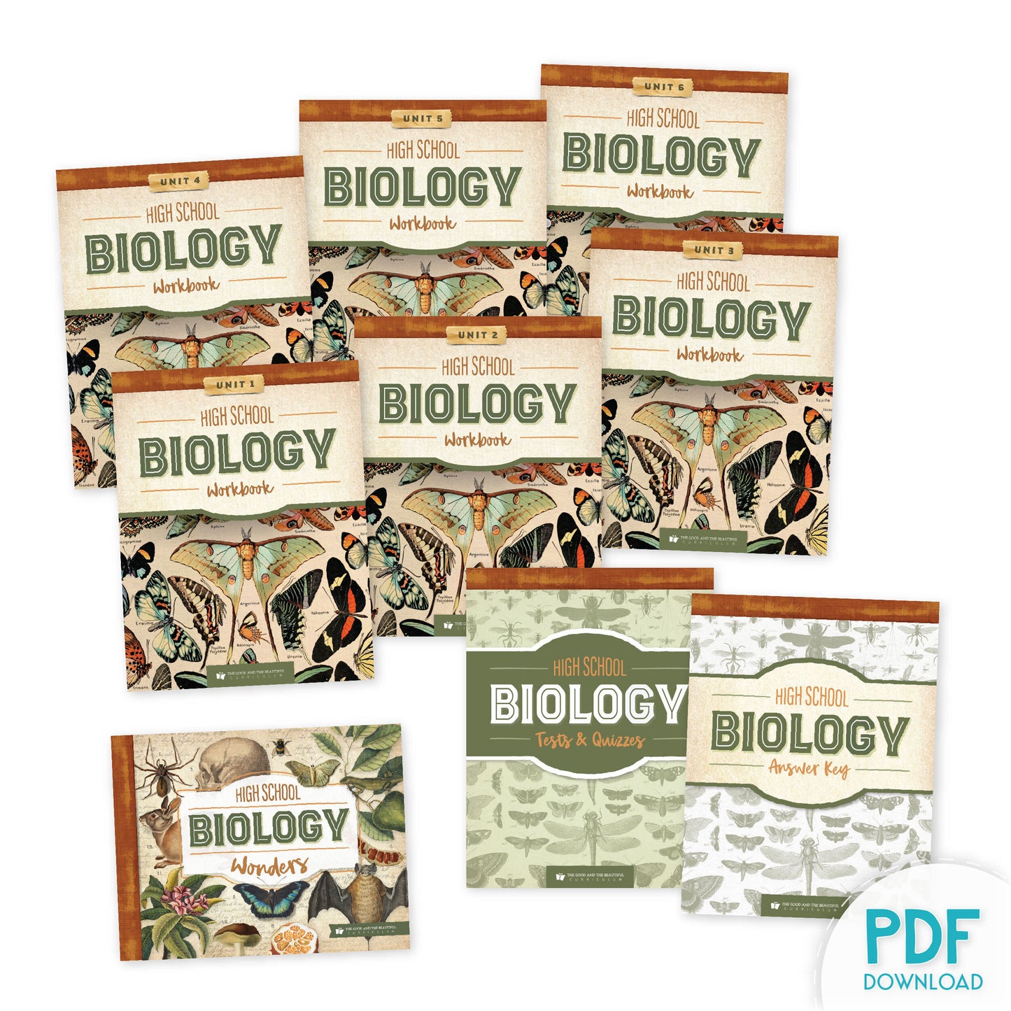 High School Biology PDF Download | The Good and The Beautiful