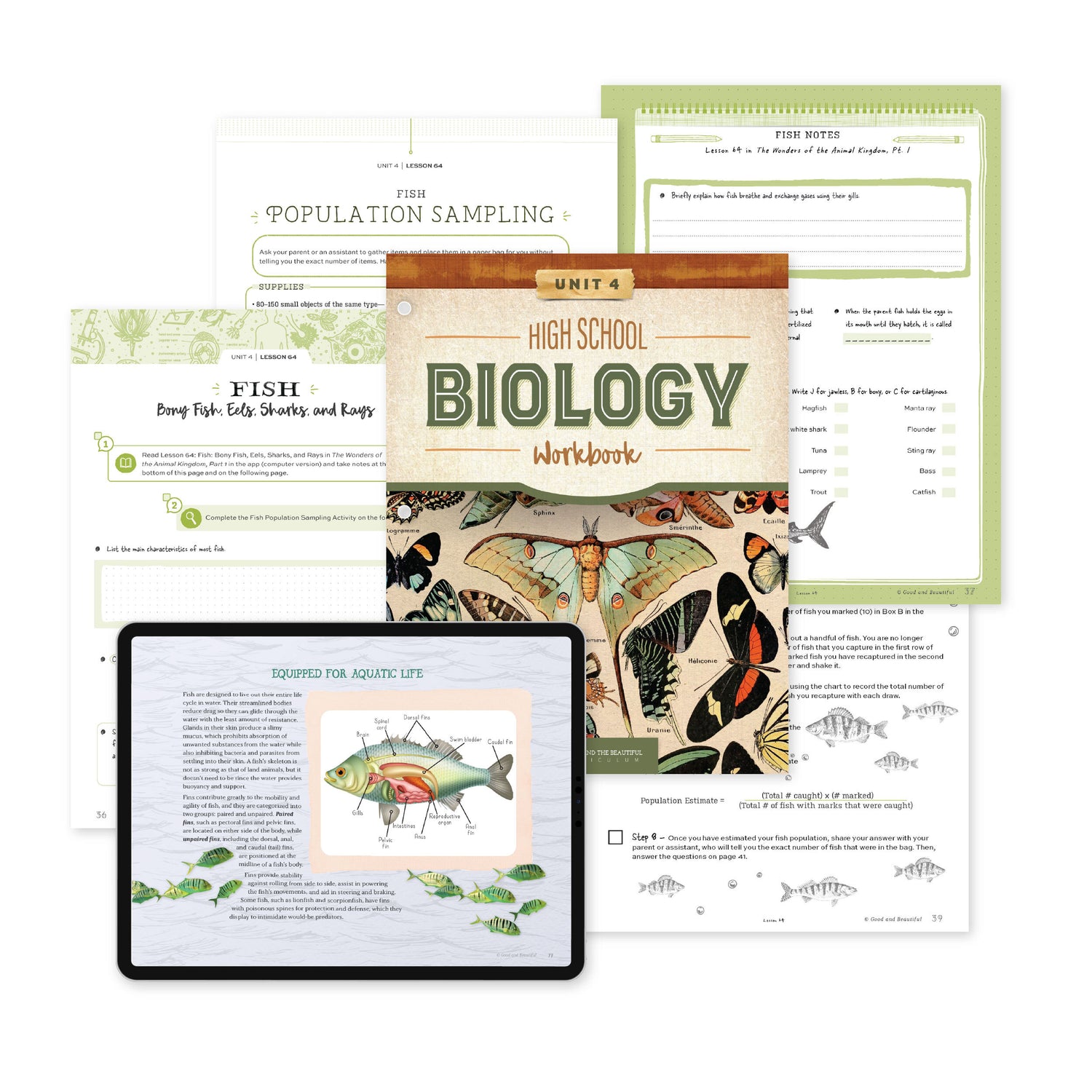 High School Biology Unit 4 Lesson 64 | The Good and The Beautiful