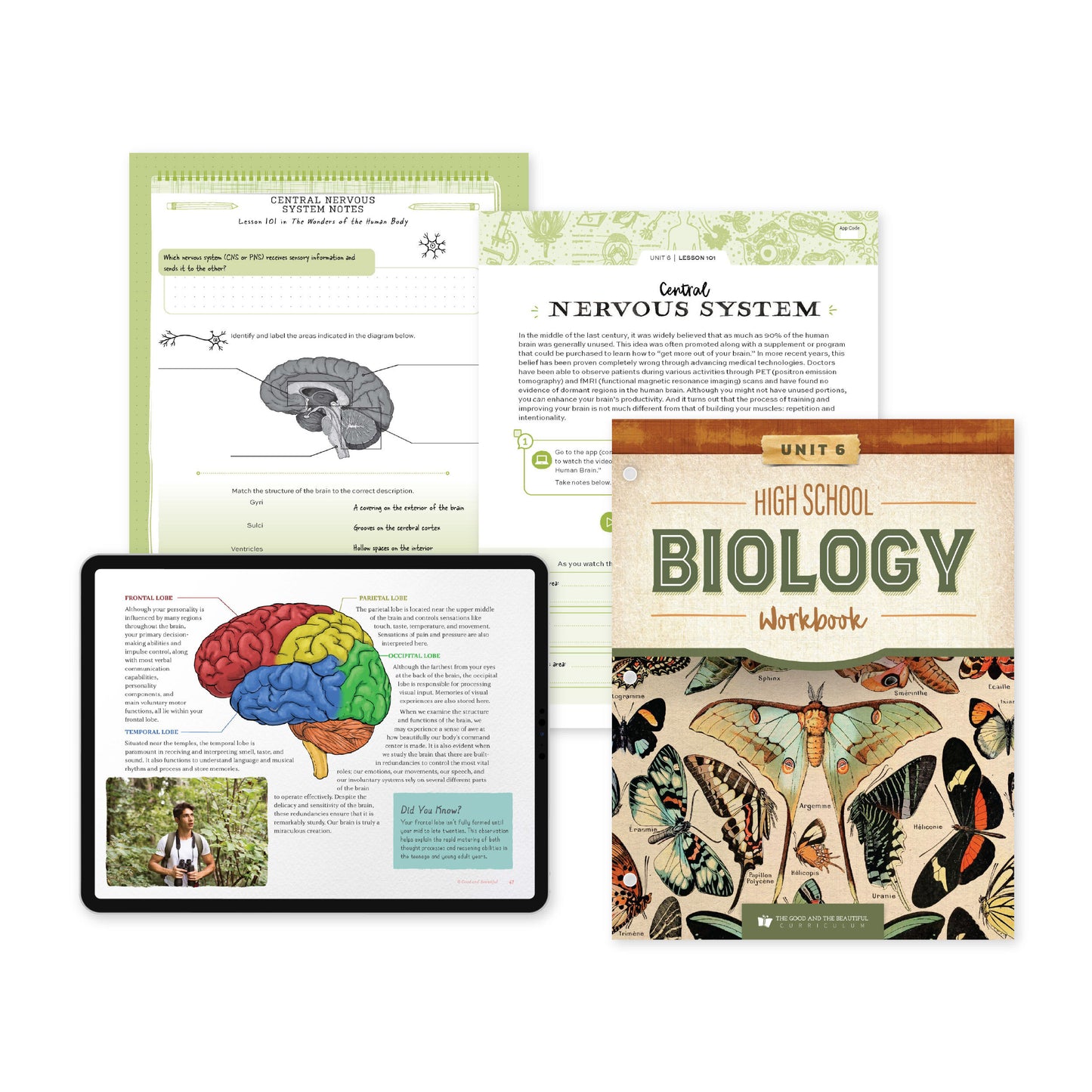 High School Biology Unit 6 Lesson 101 | The Good and The Beautiful