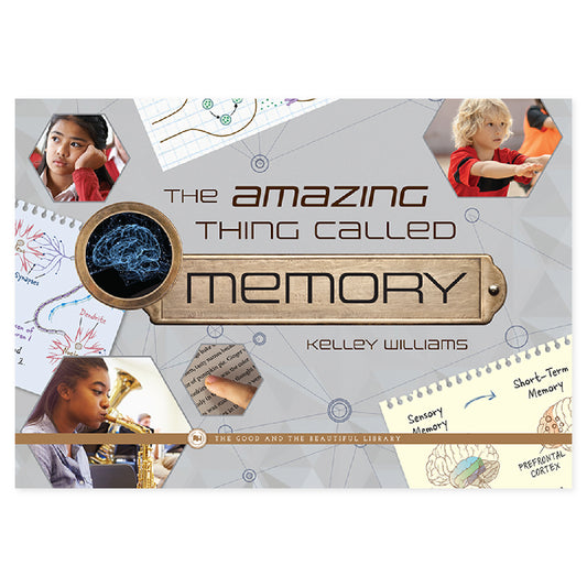 The Amazing Thing Called Memory by Kelley Williams book cover | The Good and the Beautiful