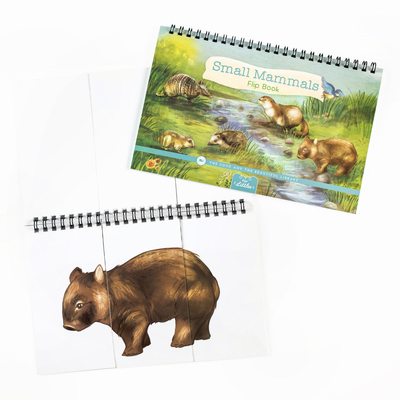 Mammals Flip Books