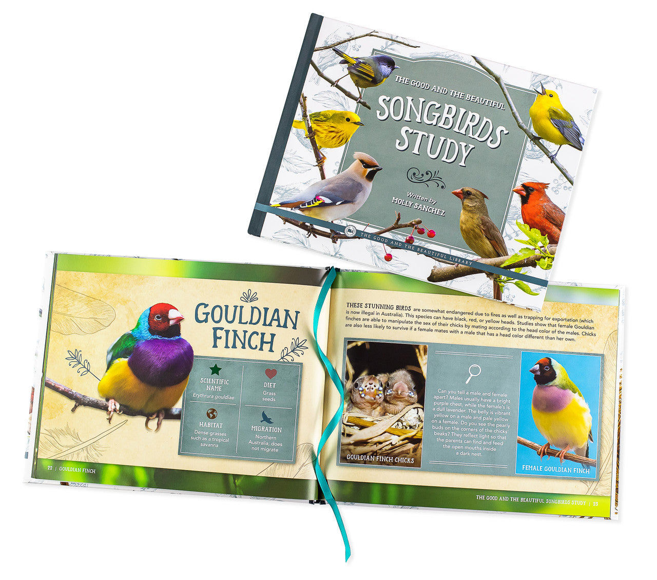 The Good and the Beautiful Songbirds Study Book: by Molly Taylor Sanchez