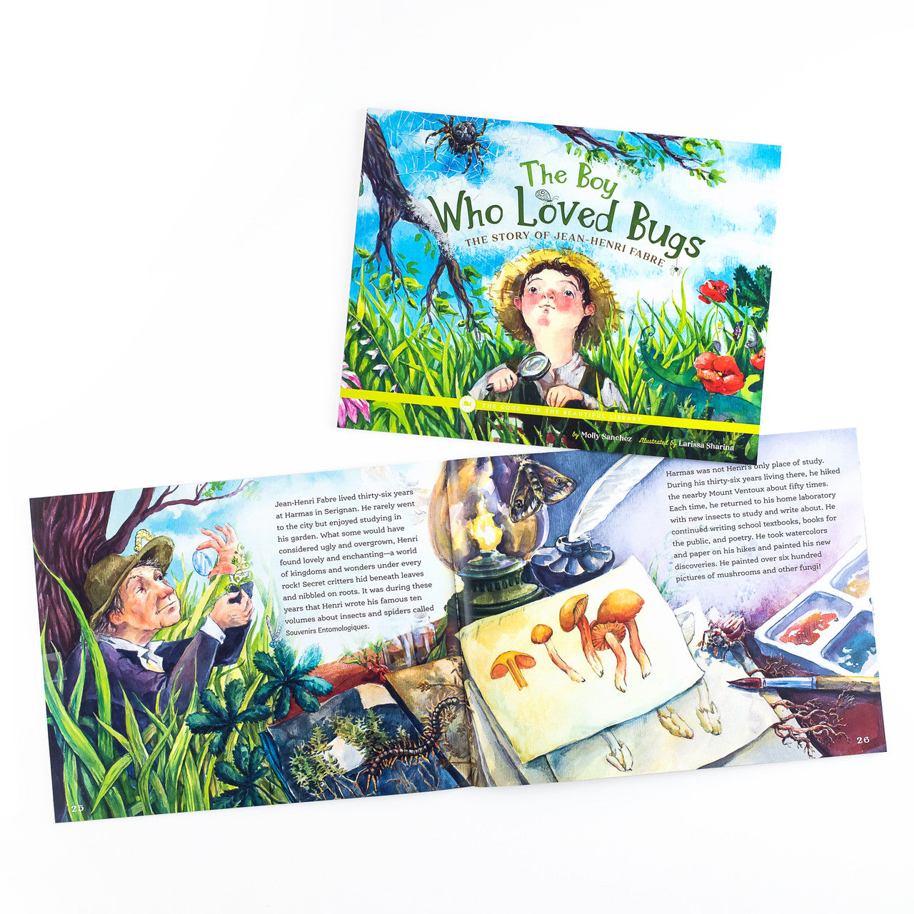 Arthropods Book Pack