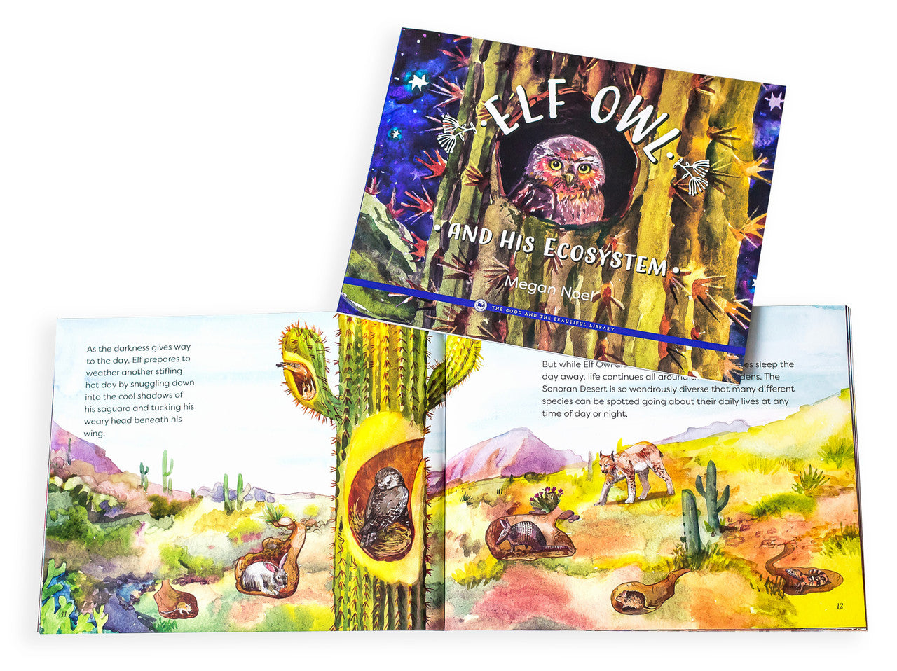 Elf Owl and His Ecosystem: by Megan Noel