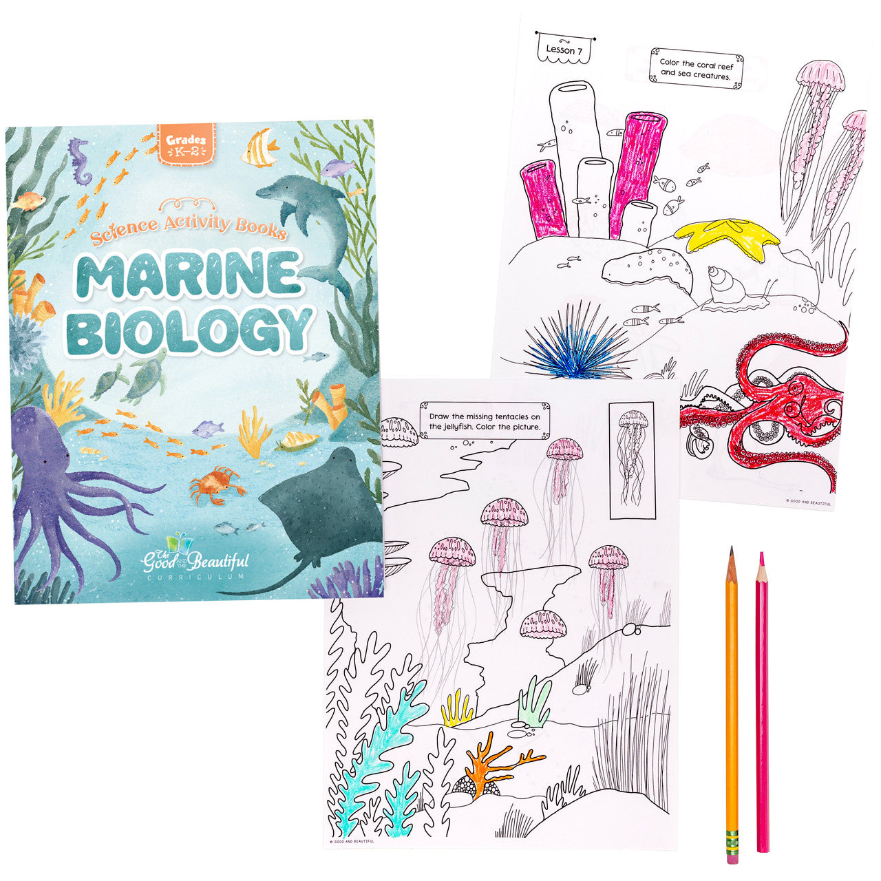 Marine Biology: Science Activity Book