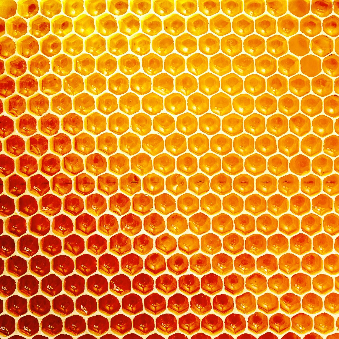 Honeycomb math in nature