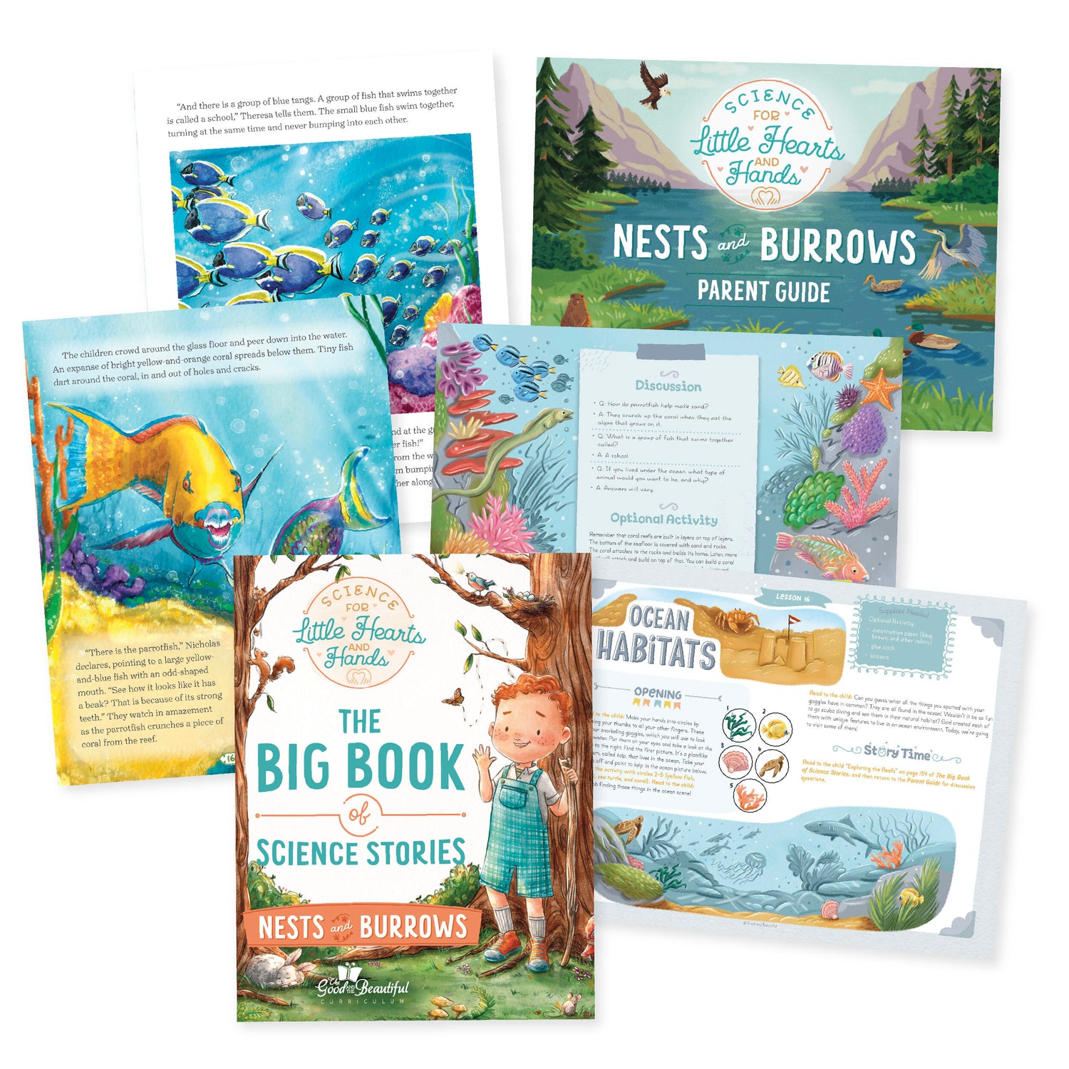 Nests and Burrows Course | The Good and The Beautiful