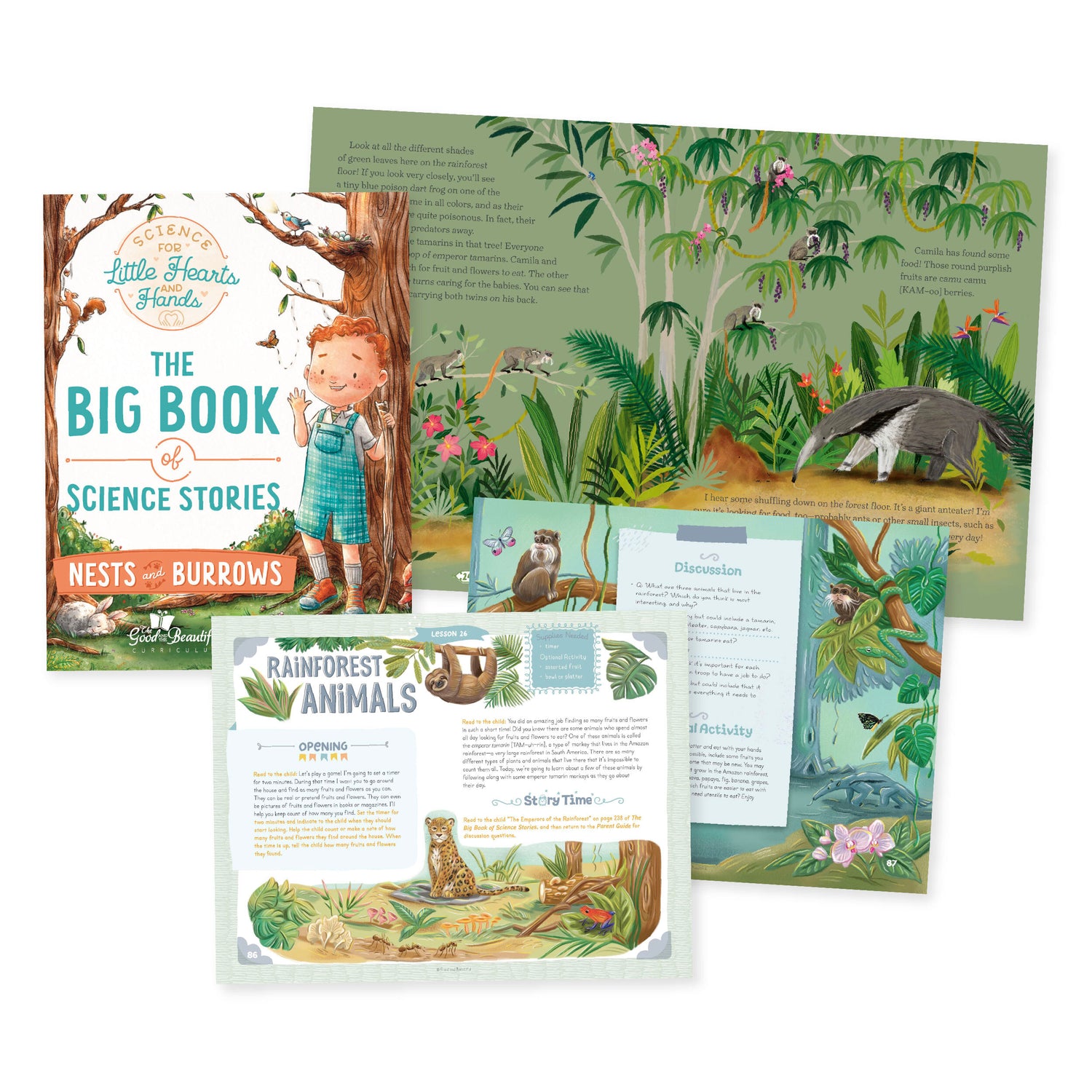 Nests and Burrows Science Stories | The Good and The Beautiful