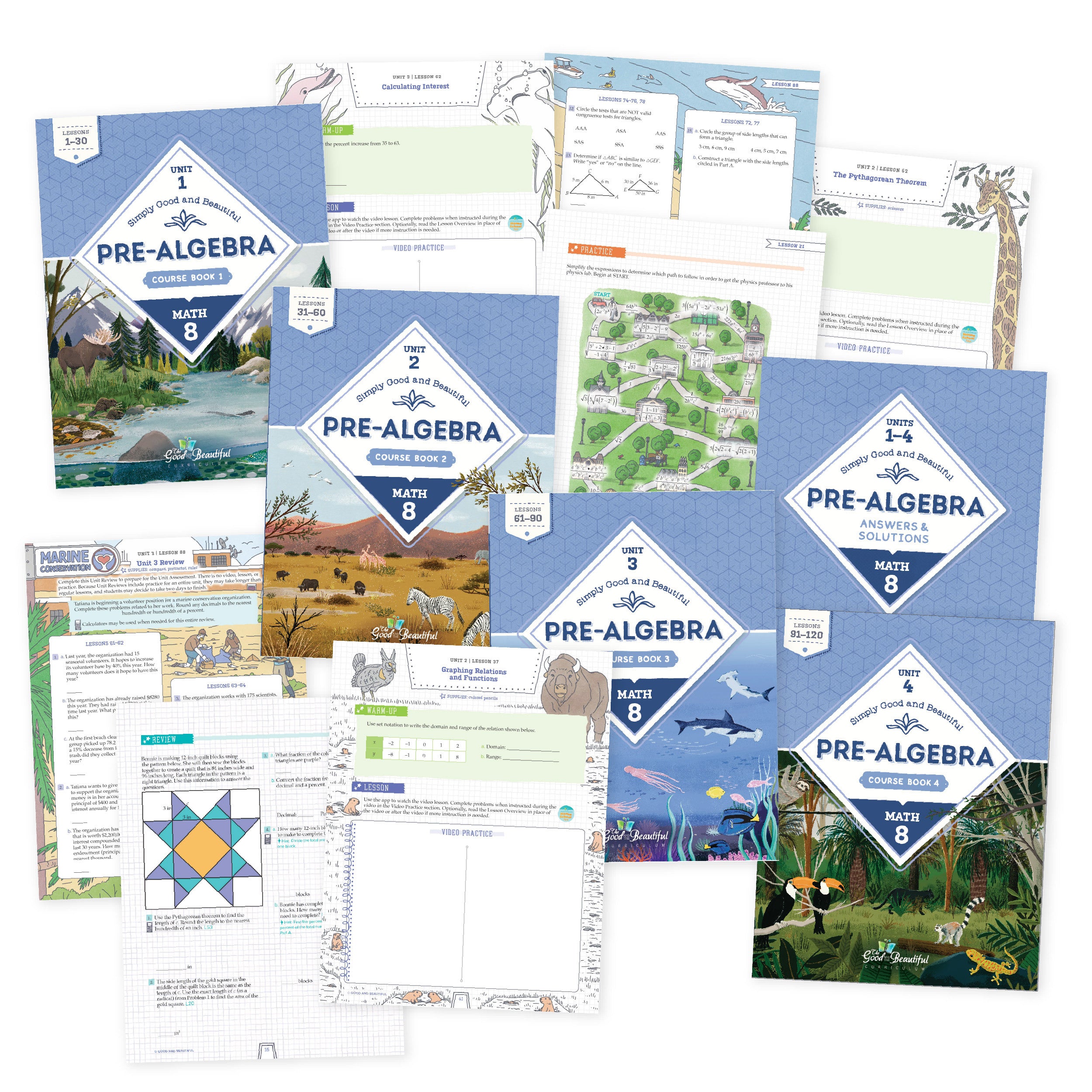 Pre-Algebra | Math 8