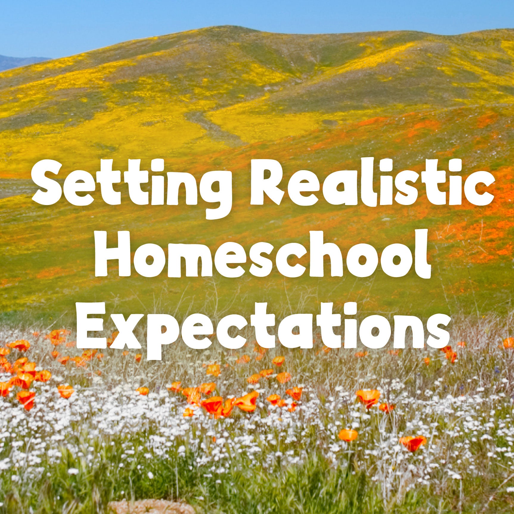 A green and hilly mountain with wildflowers and the text "Setting Realistic Homeschool Expectations" | The Good and the Beautiful