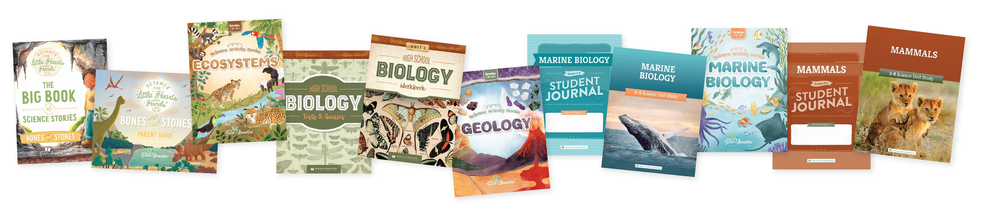 Science What It's All About Blog Cover | The Good and The Beautiful