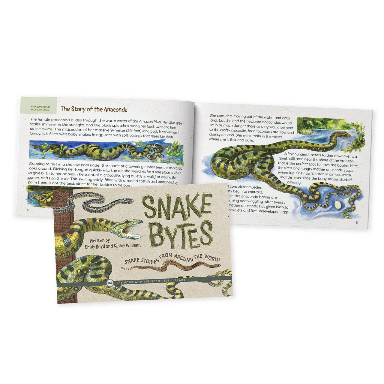 Reptiles, Amphibians, and Fish Book Pack