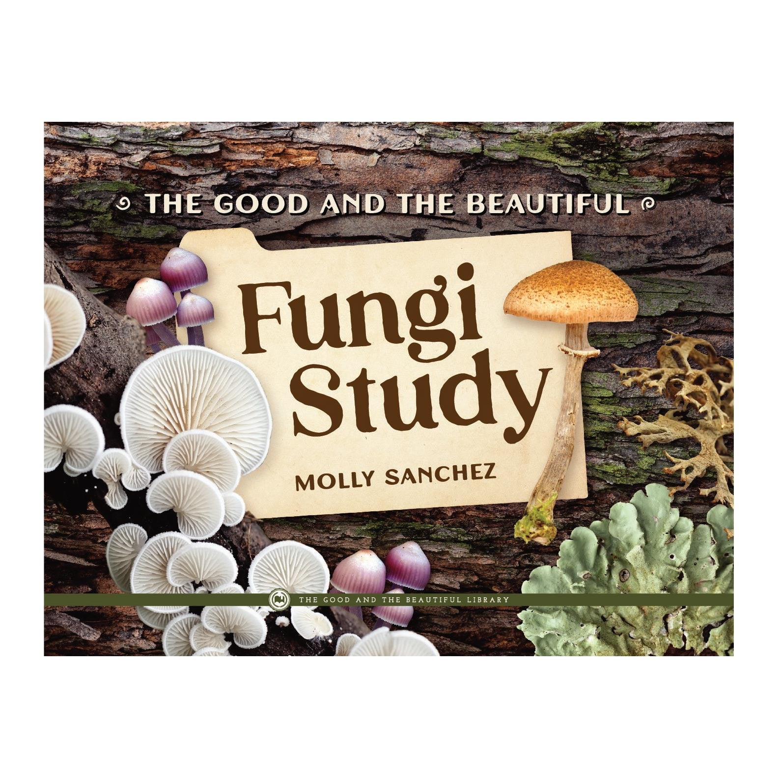 Fungi Study | The Good and the Beautiful