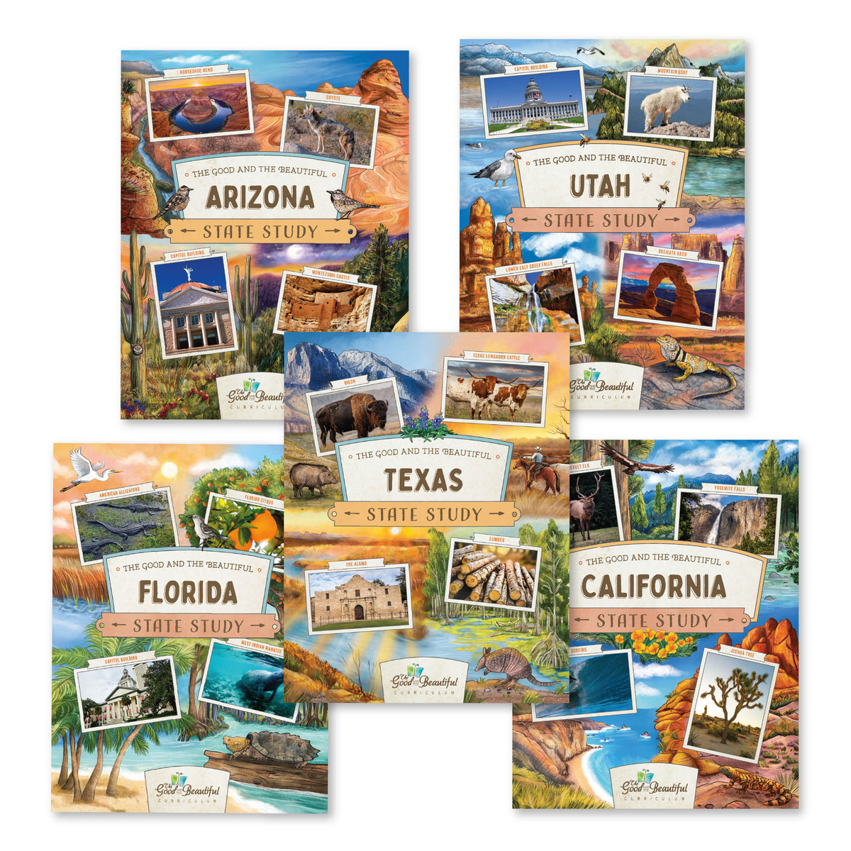 A collage of the five state study covers including Arizona, Utah, Florida, Texas, and California | The Good and the Beautiful