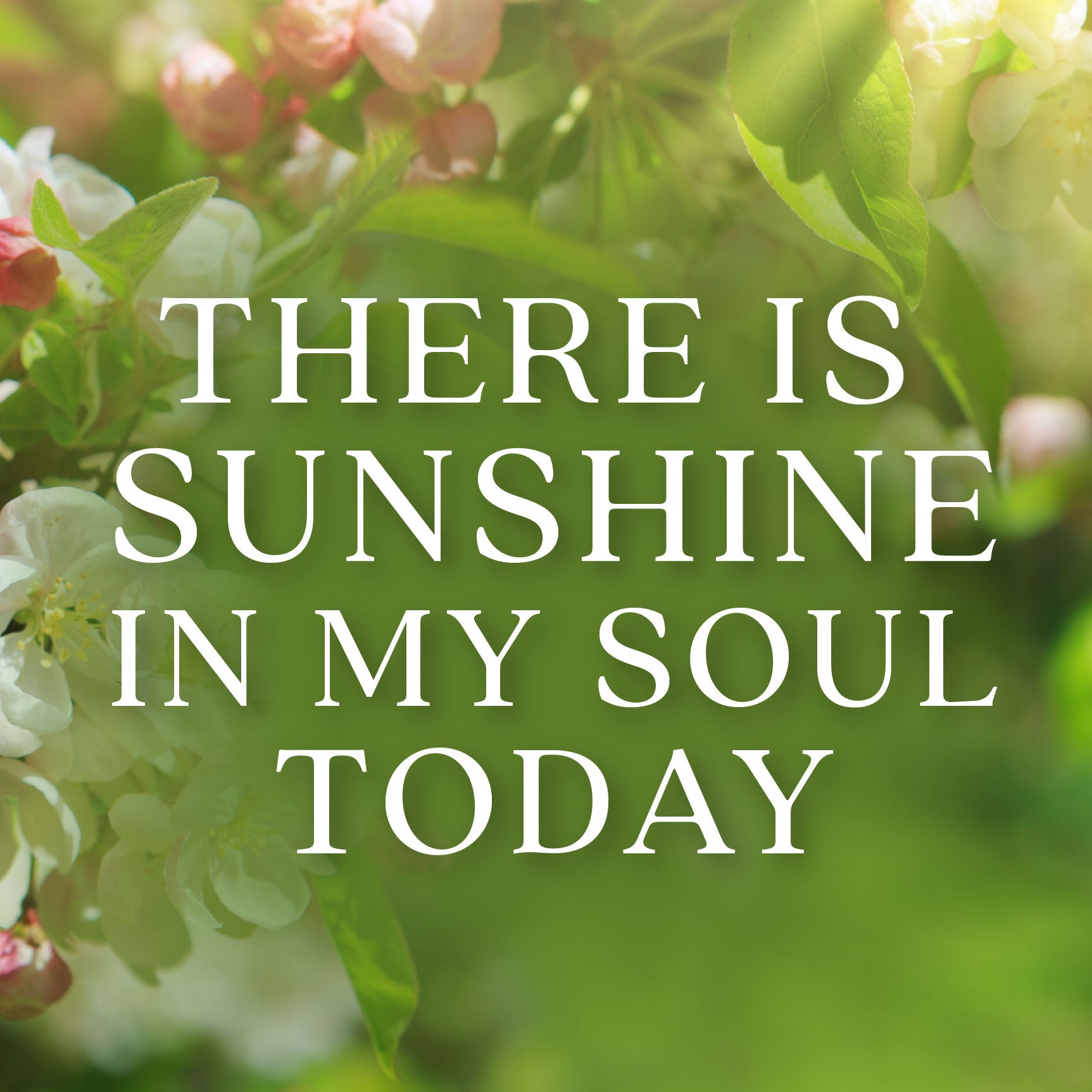 There Is Sunshine in My Soul Today | The Good and The Beautiful