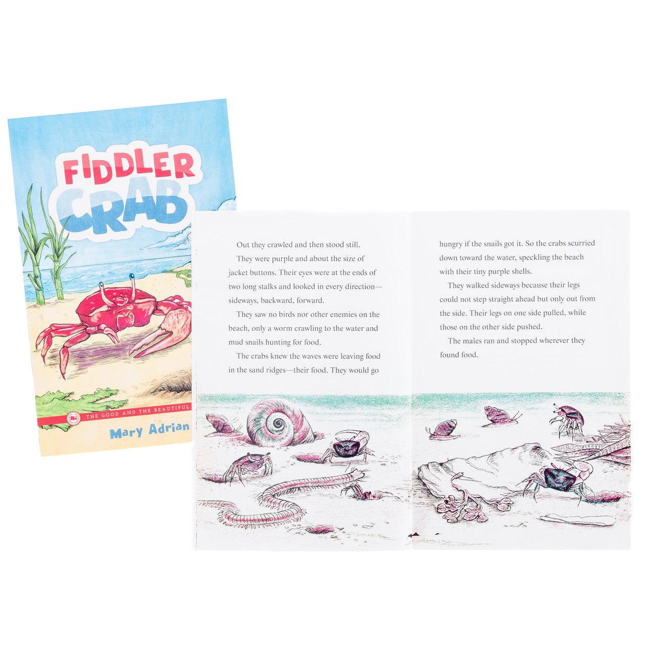 Arthropods Read-Aloud Book Pack