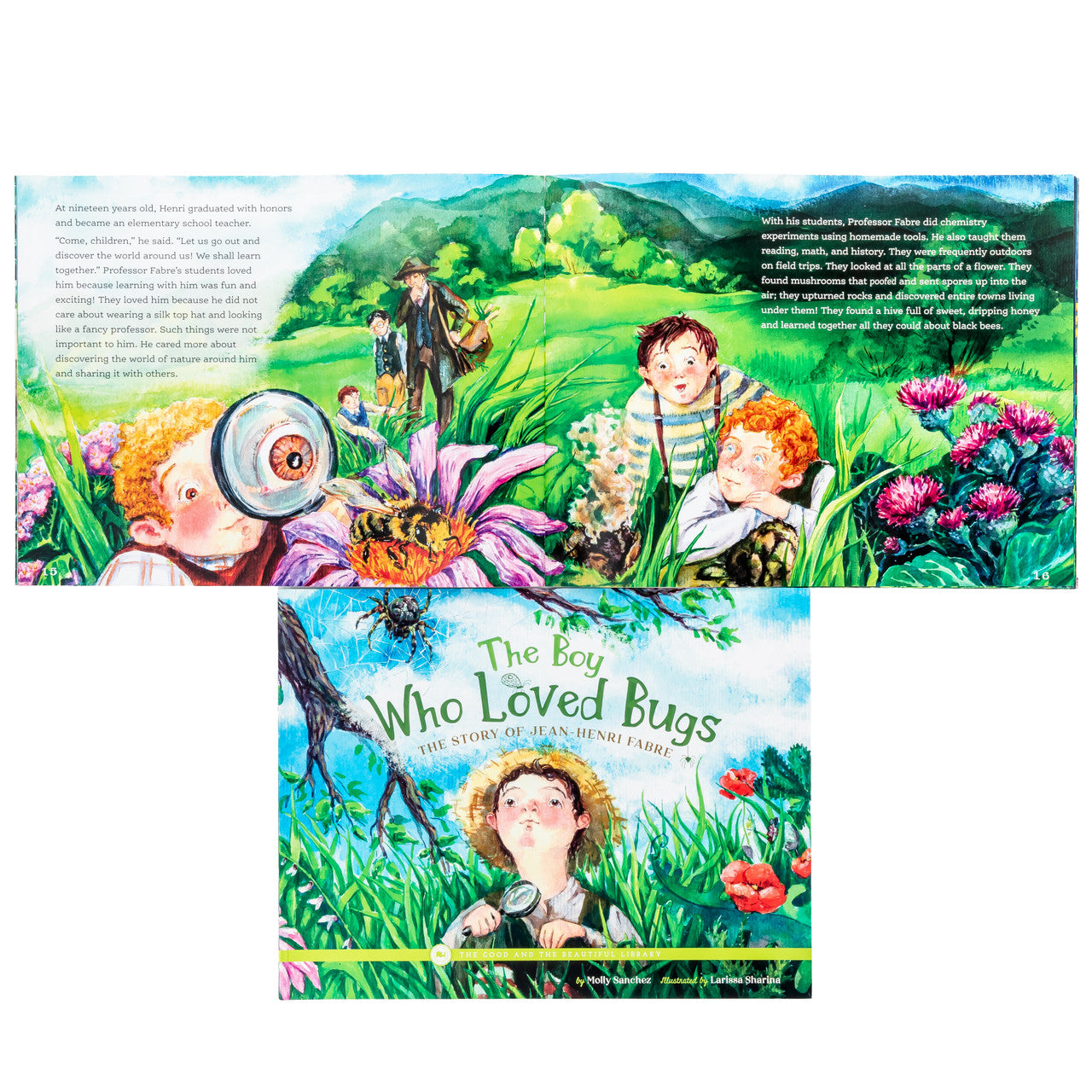 The Boy Who Loved Bugs - The Story of Jean-Henri Fabre: by Molly Sanchez