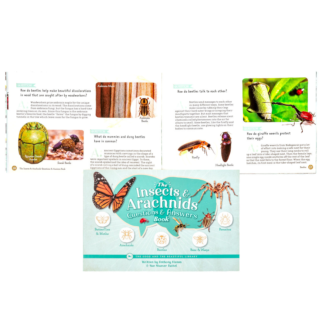 The Insects and Arachnids Questions & Answers Book: by Anthony Klemm and Sue Steuver Battel