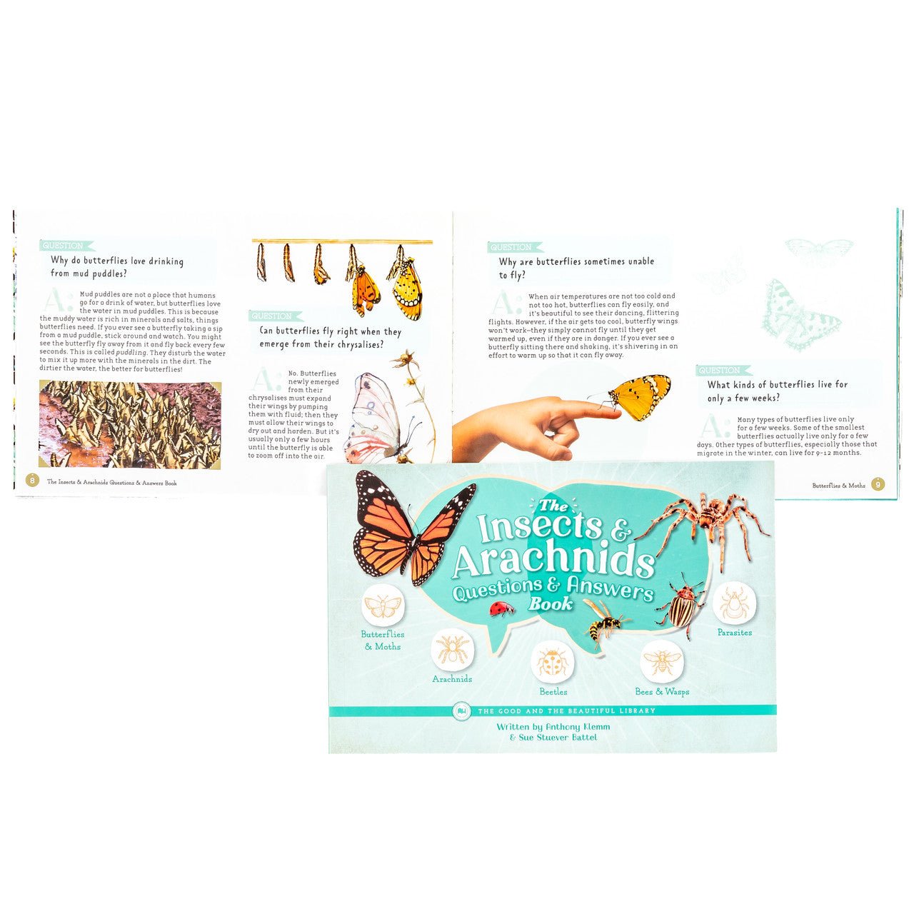 The Insects and Arachnids Questions & Answers Book: by Anthony Klemm and Sue Steuver Battel