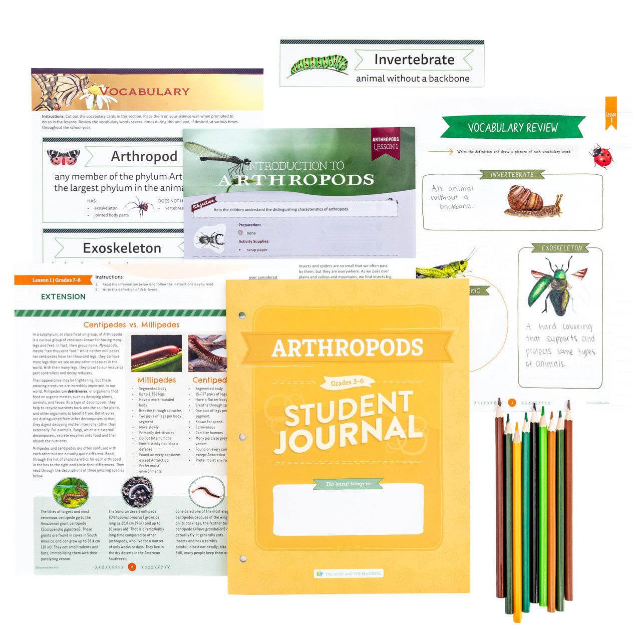 Arthropods: Student Journal Grades 3-6: One Per Student