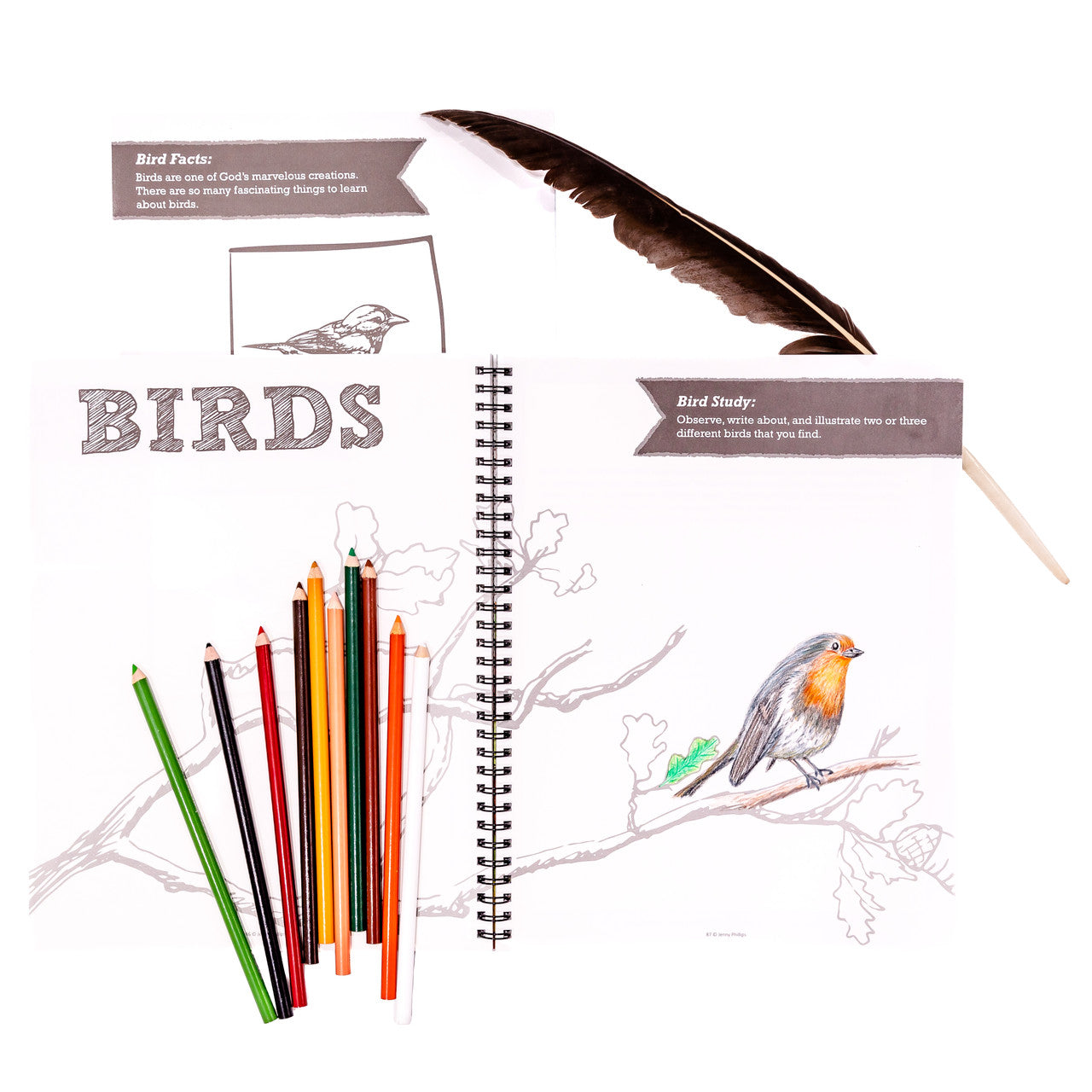Nature Notebook