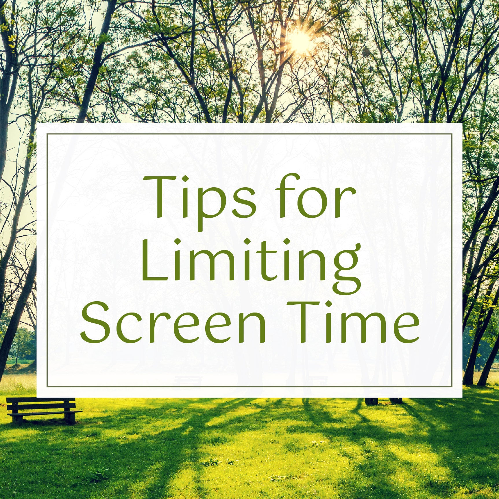 Tips for Limiting Screen Time Blog Header with a sunny background showing trees, grass, and a bench | The Good and the Beautiful