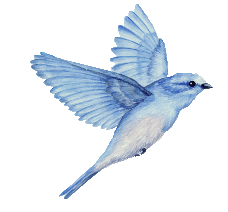 bluebird