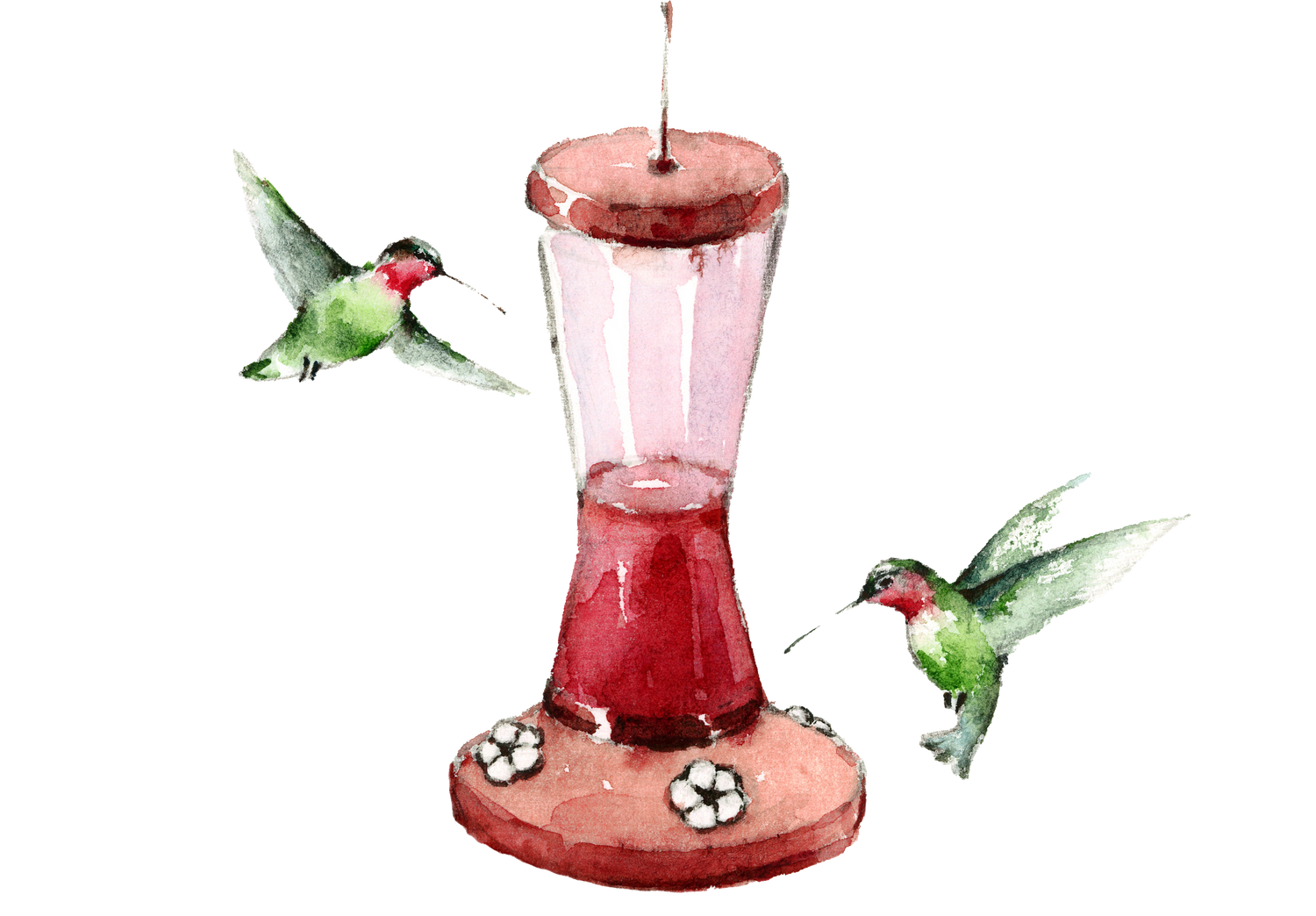 hummingbirds feeder