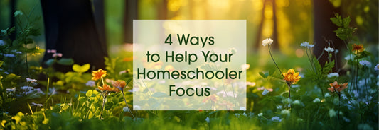 4 Ways to Help Your Homeschooler Focus