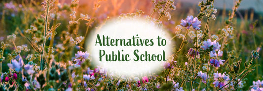 Alternatives to Public School: Choosing the Best Option for Your Child