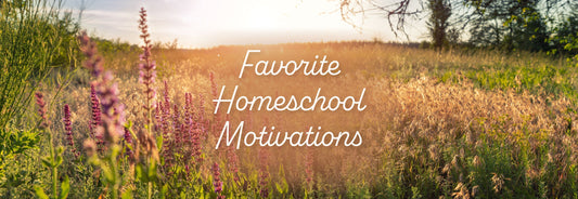 Favorite Homeschool Motivations