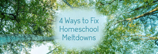 4 Ways I Fixed Homeschool Meltdowns