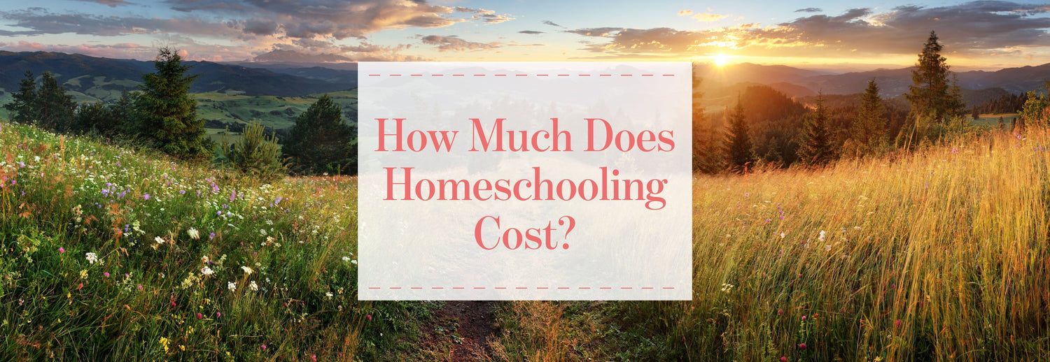 How Much Does Homeschooling Cost?